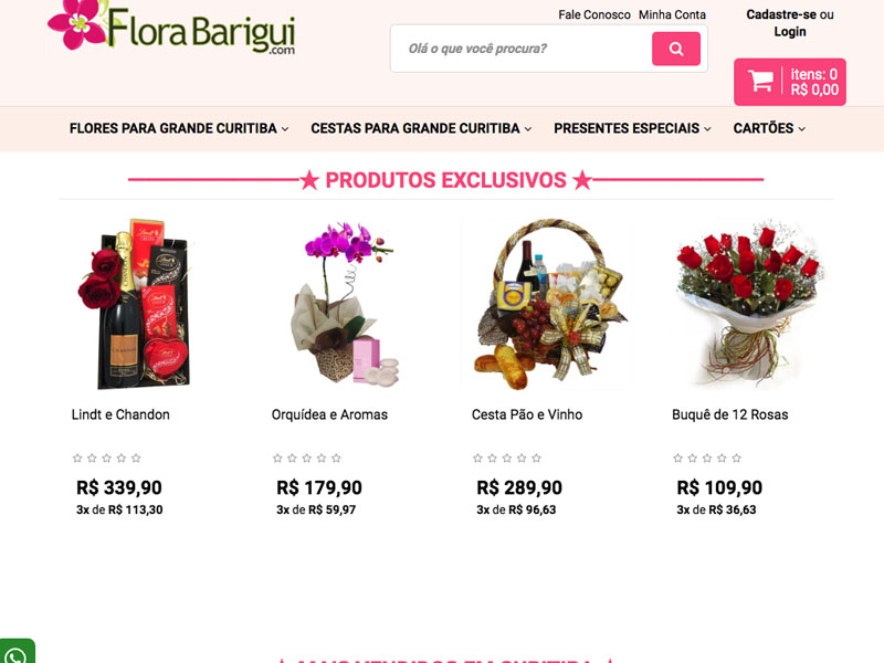 florabarigui.com.br